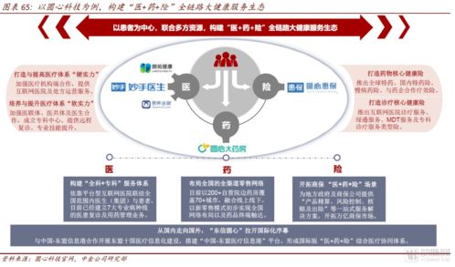 中金公司互聯(lián)網(wǎng)醫(yī)藥產(chǎn)業(yè)報(bào)告 醫(yī)藥零售高毛利時(shí)代謝幕，全域互聯(lián)網(wǎng)銷(xiāo)售新紀(jì)元已來(lái)